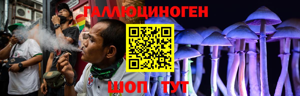 Псилоцибиновые грибы мицелий  Псилоцибиновые грибы Psilocybe  Щёлково  Вход с VPN 