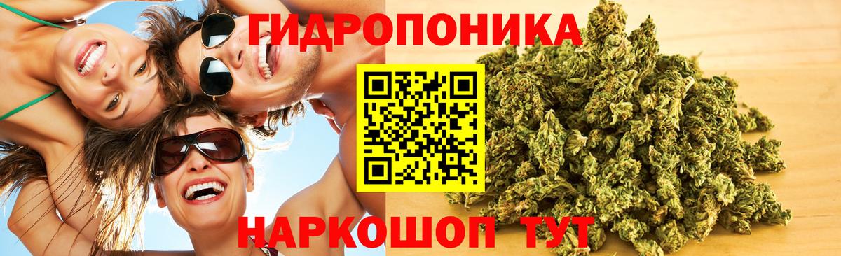Марихуана план  Бошки марихуана марихуана  Щёлково  Вход с VPN  Конопля Bruce Banner 